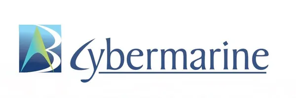 partner image
